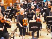 Violins